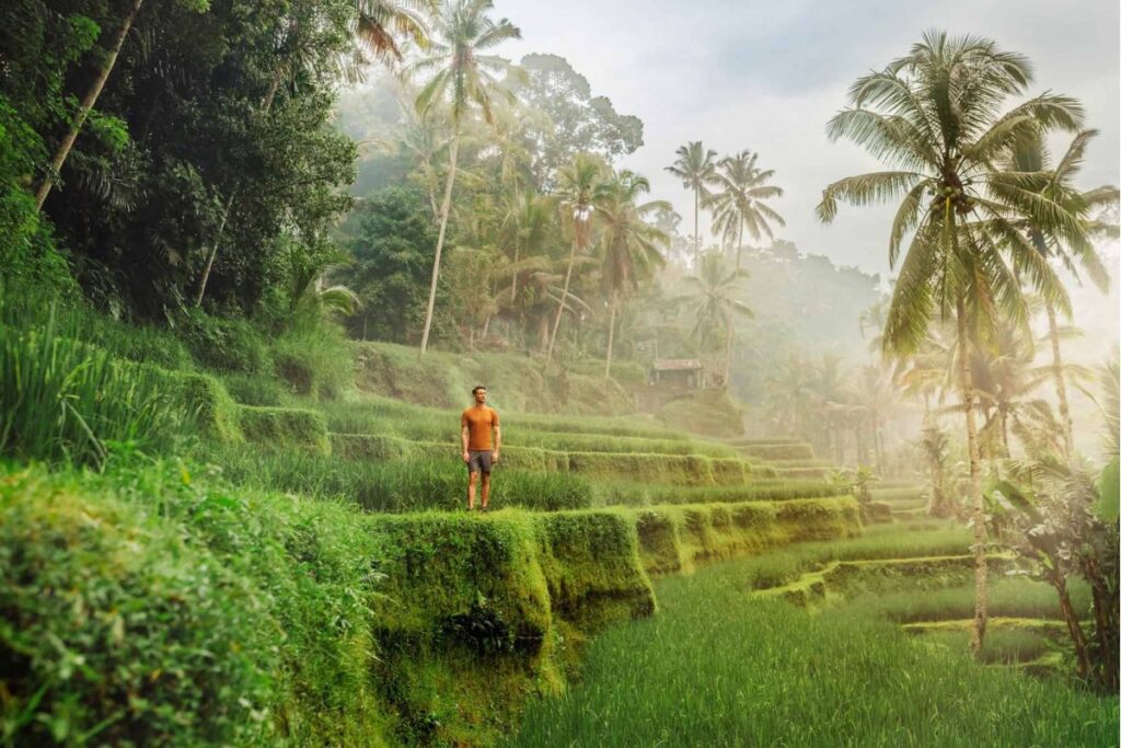 14. tegallalang rice terrace 1024x683